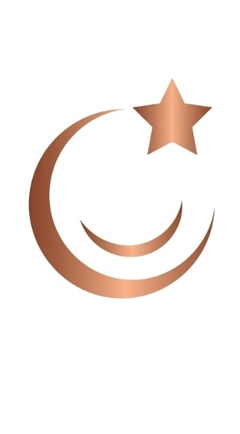 CRVY Logo Icon